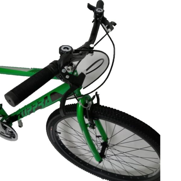 BICICLETA RIN 26 FREETIME ZUPPRA VERDE - Imagen 2