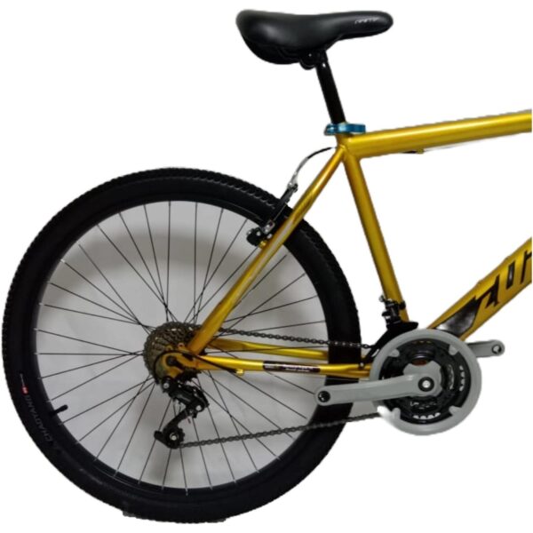 BICICLETA RIN 26 FREETIME ZUPPRA DORADA - Imagen 2