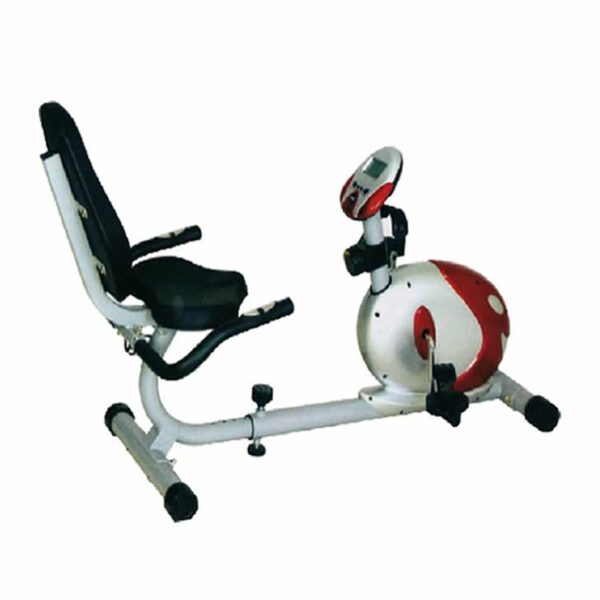 Bicicleta Recumbent Sport Fitness Gris