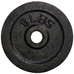 Disco De 5 Libras Acero Fundido De 1" Negro